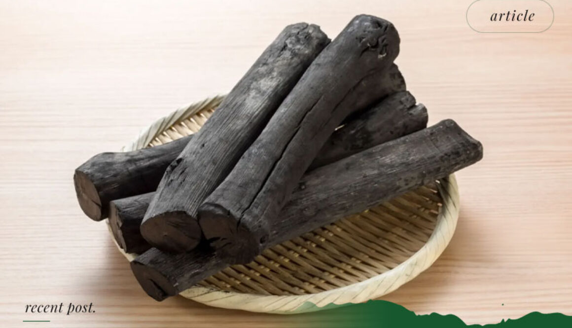 Export-of-Binchotan-Charcoal-Indonesia