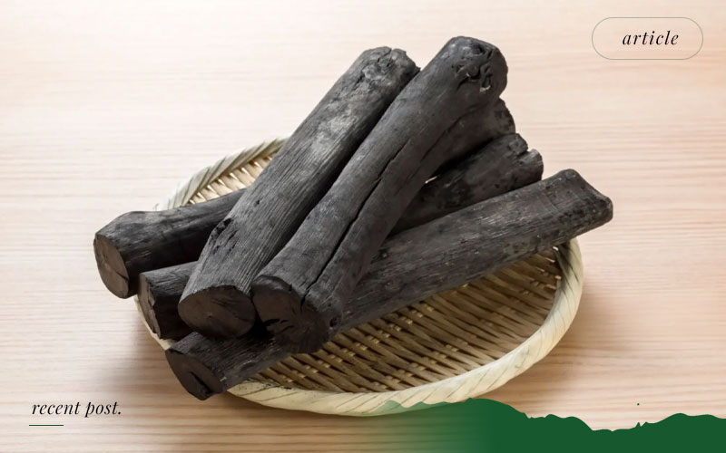 Export-of-Binchotan-Charcoal-Indonesia