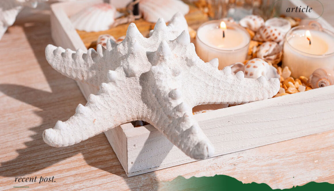 Export-of-Quality-Dried-Fish-Scales-and-Starfish