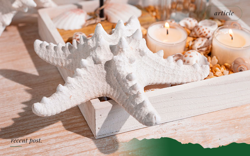 Export-of-Quality-Dried-Fish-Scales-and-Starfish